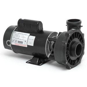 Waterway Executive 230V 2-Speed 48-Frame Pump 10-3421221-1A
