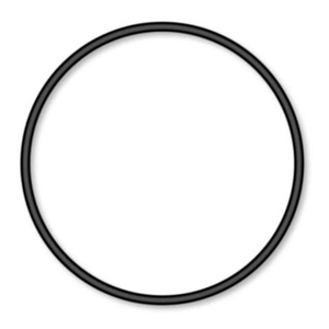 Pump Union O-Ring for Ultimax Pumps 2.5" 60-0011A