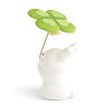Figurine Lucky Clover & Bunny