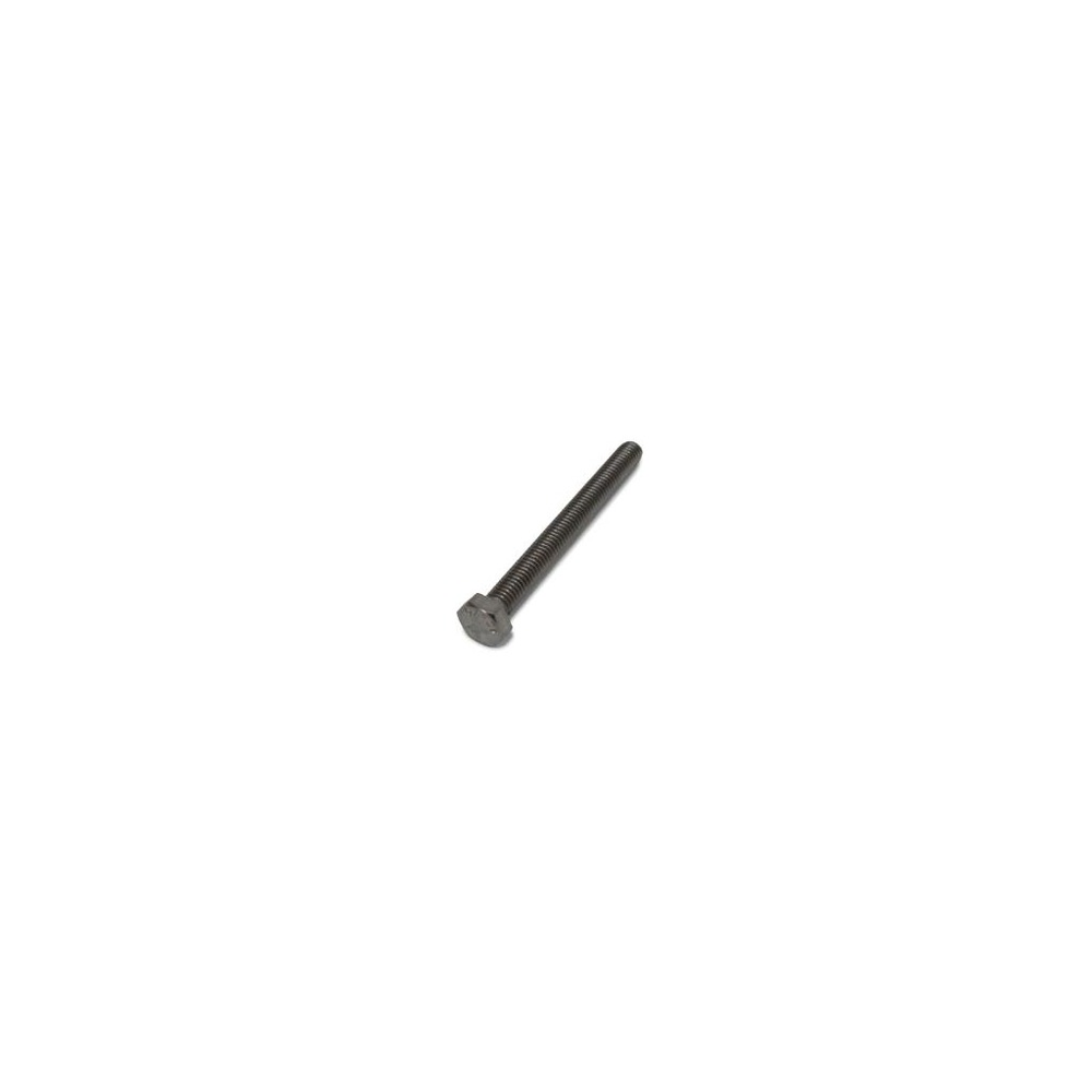 Nilfisk Advance - 101801738 - Screw M6X60 A2-70 Din 933