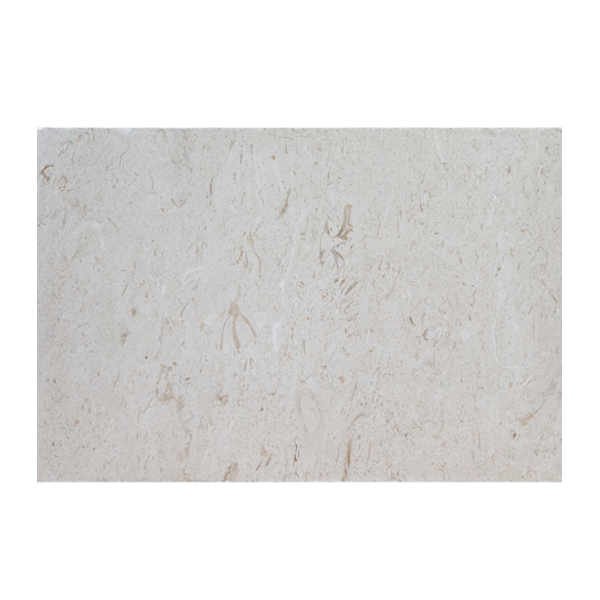 16X24 Shell Stone