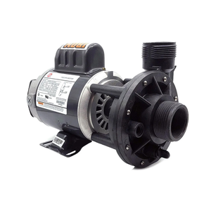 Waterway Iron Might 230V 24-Hour Circulation Pump 10-3J10020-1E