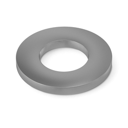 Tennant/Nobles - 4015595 - Washer, Flat, 0.31, Sae (Replaces Tennant 39349)
