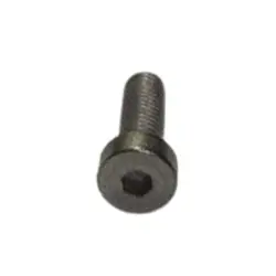 HEX SKT LH CAP SCR STN M5X15