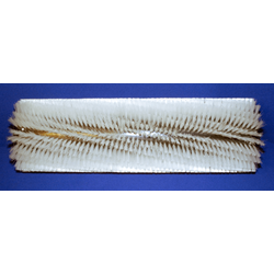 Broom, 50" 24 S.R. Nylon
