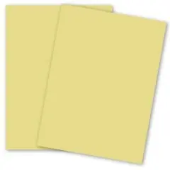 8.5 X 11  65# CANARY VELLUM FINISH EARTHCHOICE OPAQUE  82479  10 RMS/CS