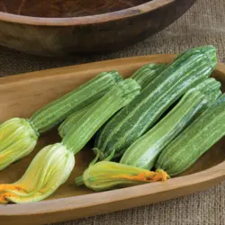 Summer Squash - Costata Romaneseco (Bulk Seed)