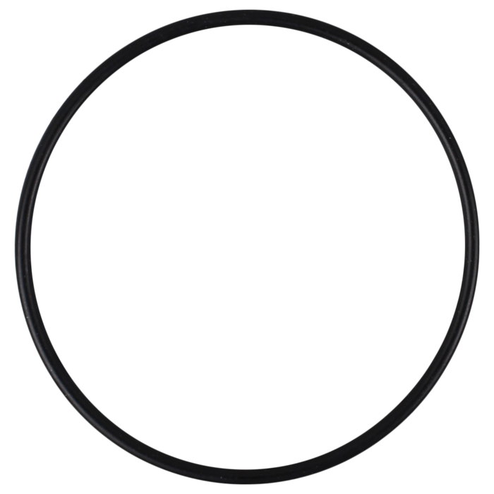 O-Ring (OR-PP-895)