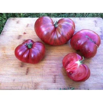 Tomato - Fred's Tie-Dye Heart (Seed)