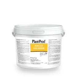 Boric Acid