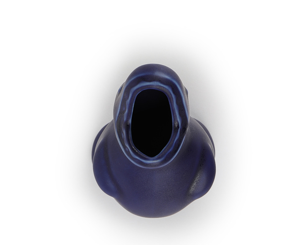 Container Dino 5.25" Zakkusaurus Blue