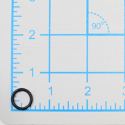 O-Ring (P-64241)