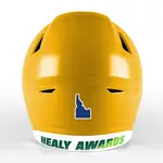 2 Color State Shape Decals