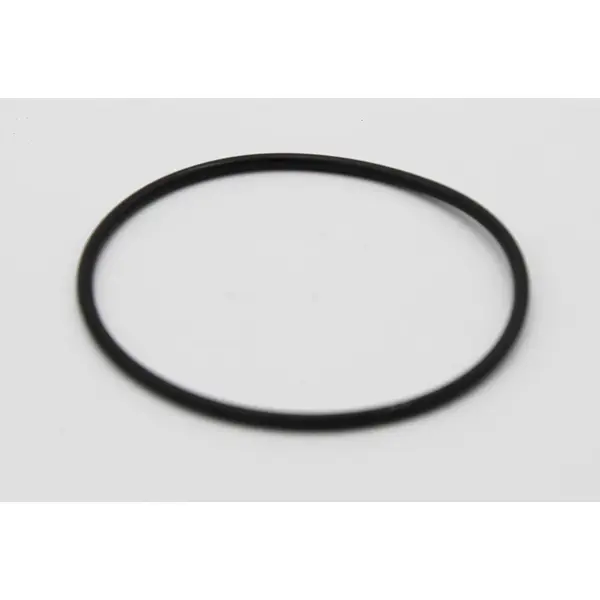 2" Pump Tailpiece O-Ring