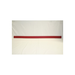 Squeegee