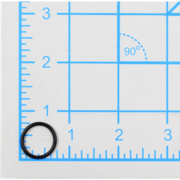 O-Ring (P-64537)
