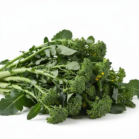BROCCOLI RABE OG | 26 CT