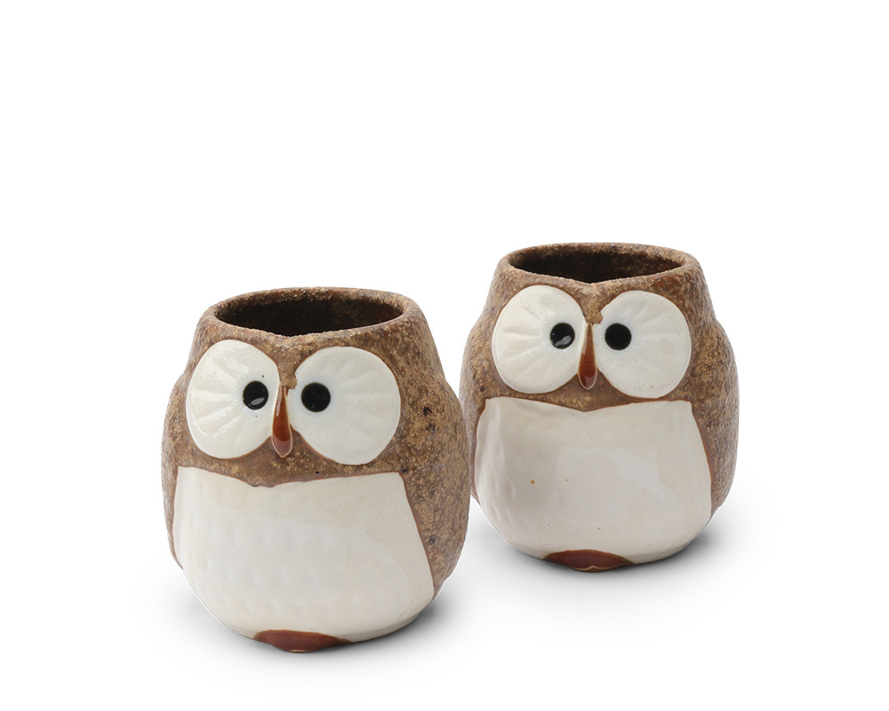Tea Set Owl Brown