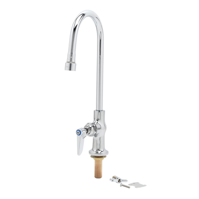 T&S Brass B-0305-VR Pantry Faucet Single