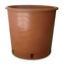 Terracotta Nursery Pot