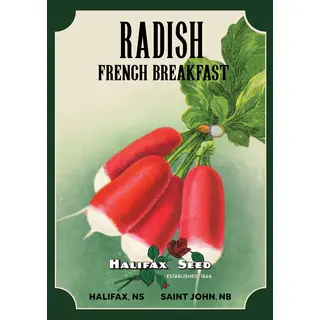 Heritage Packet: Radish - French Breakfast (Seed)