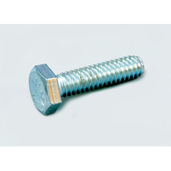 Screw