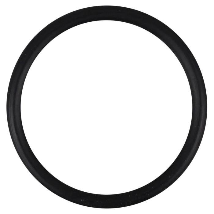 O-Ring (OR-PP-366)