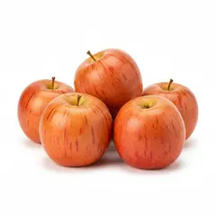 APPLES GALA OG | 88 CT / WXFY