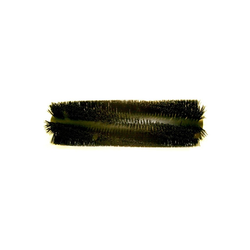 Broom, 36 "6 D.R. Poly
