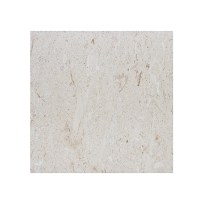 Shell Stone