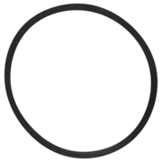 O-Ring (OR-PP-392S)