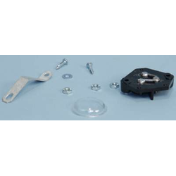 Fuse Assy,40 Amp,Dual Link Lester
