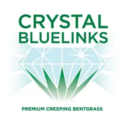 Tee-2-Green Crystal Bluelinks Premium Creeping Bentgrass