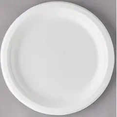 P013 9" WHITE COMPOSTABLE SUGARCANE PLATE, 500/CS MARKET COMPOSTABLE 500/CS