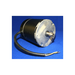 Brush Motor