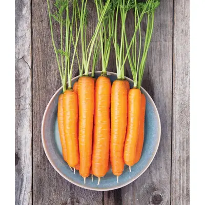 Carrot - Napoli (Organic Seed)