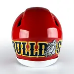 Back Panel Football Helmet Decals