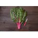 Swiss Chard - True Magenta (Organic Seed)