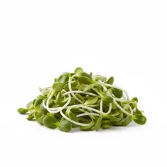 SPROUTS SUNFLOWER LOCAL OG | 2/1 LB