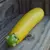 SQUASH Z'ORO 10G
