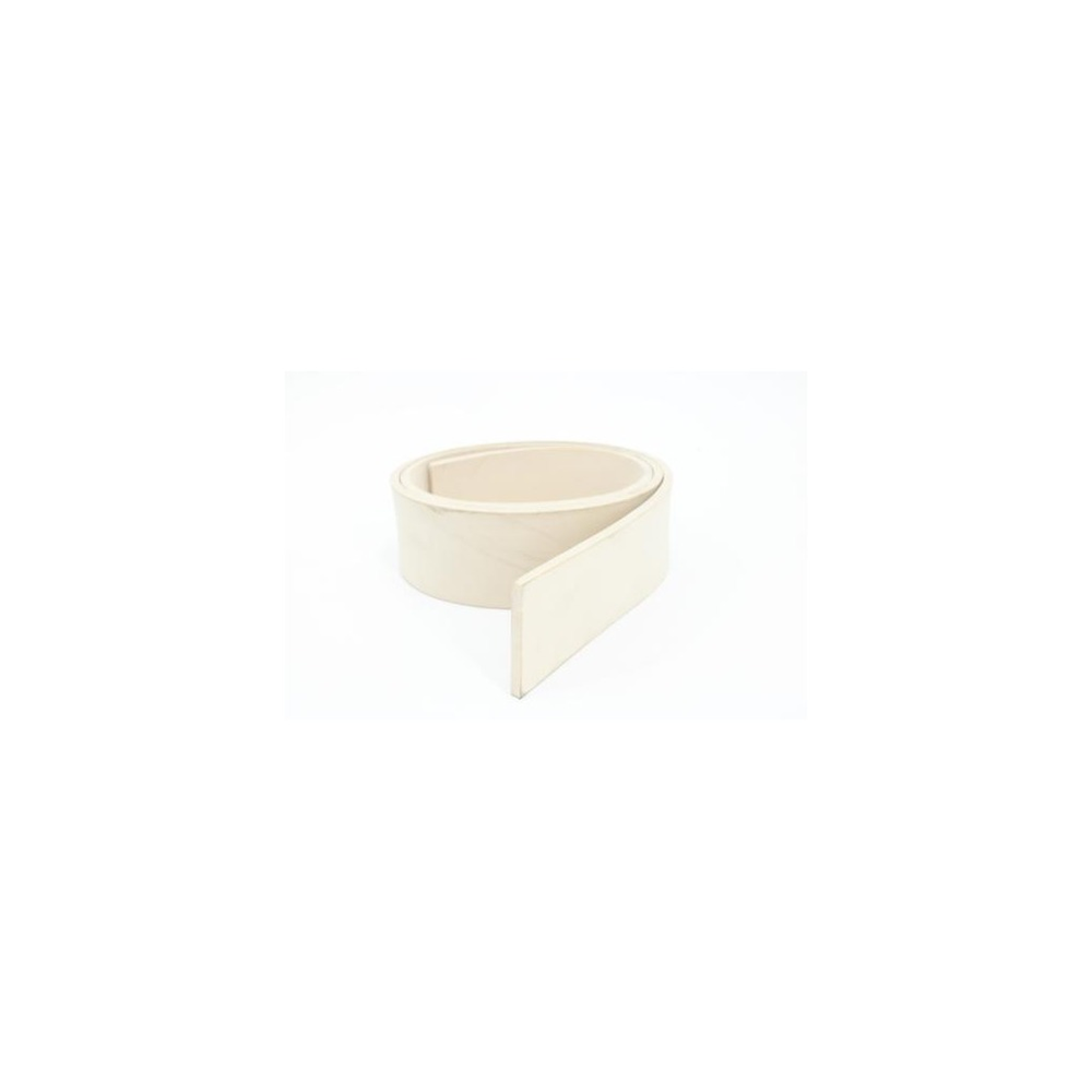 Nilfisk Advance - 30069A - Blade Outer Sque 39 Enc 2426
