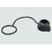 Drain Plug