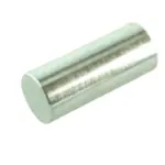 PIN HORN BUTTON