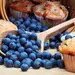 BLUEBERRIES SWEETENED NO SO | 10 LBS
