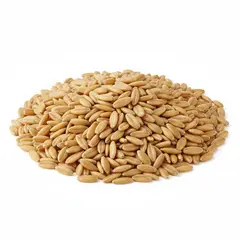 OAT GROATS WHOLE OG | 50 LBS