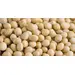 BEANS SOY CLEAR HYLUM USA OG | 25 LBS