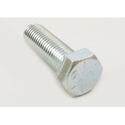 Screw