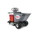 BUGGY, 16CF POLY,HON GX390 PROPANE AW16-P