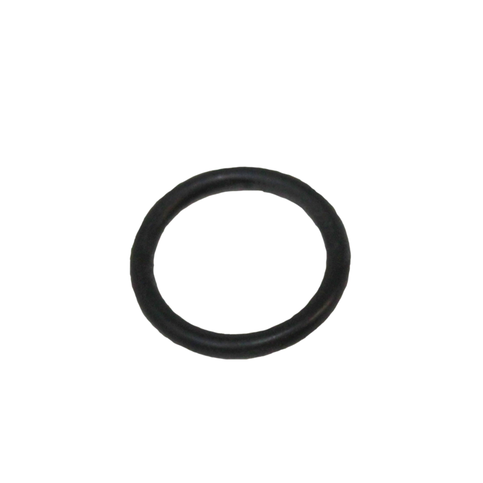 O-Ring (0138524)