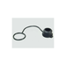 Drain Plug
